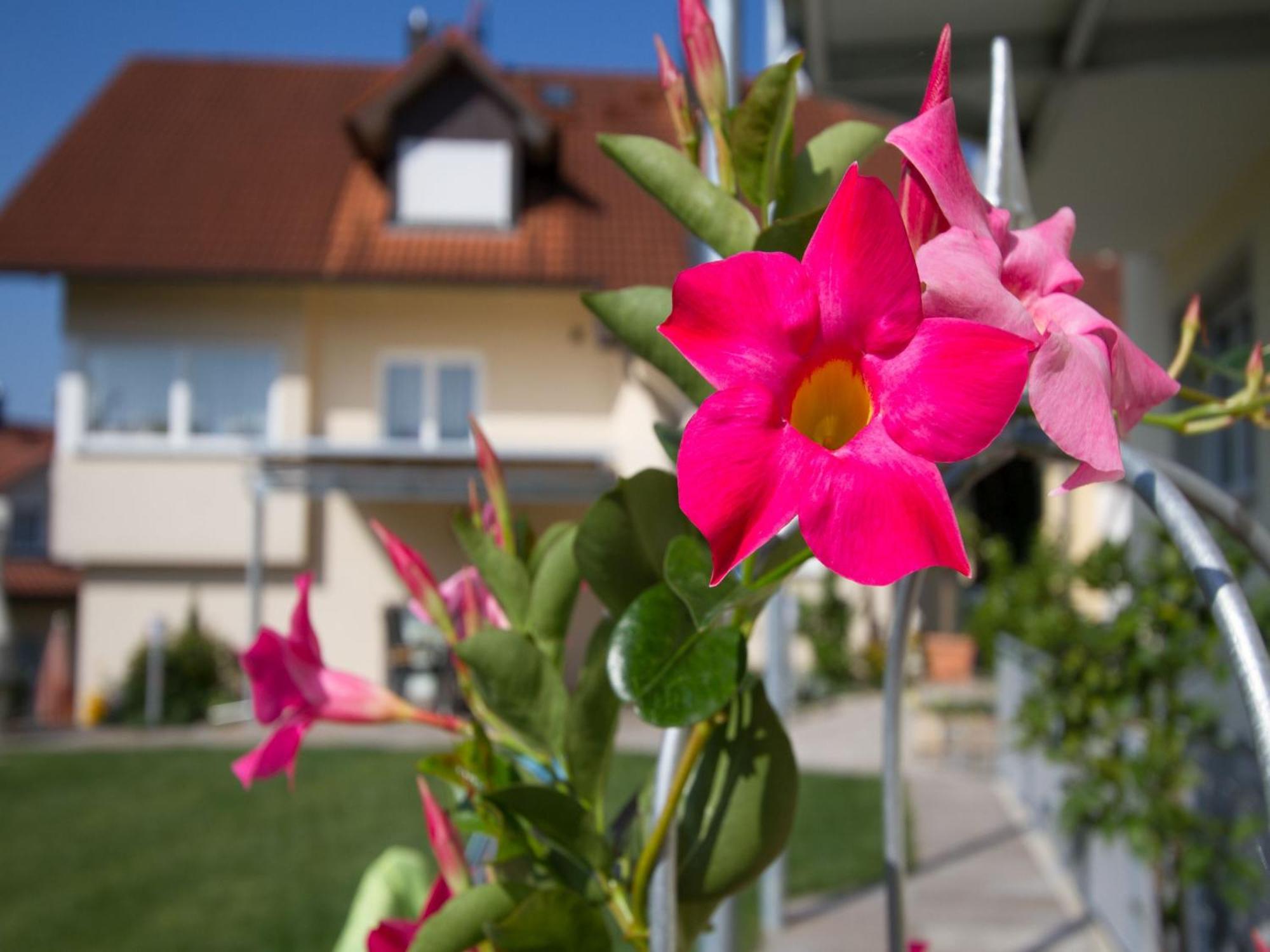 Obst- Und Ferienhof Witzigmann Wasserburg Bagian luar foto